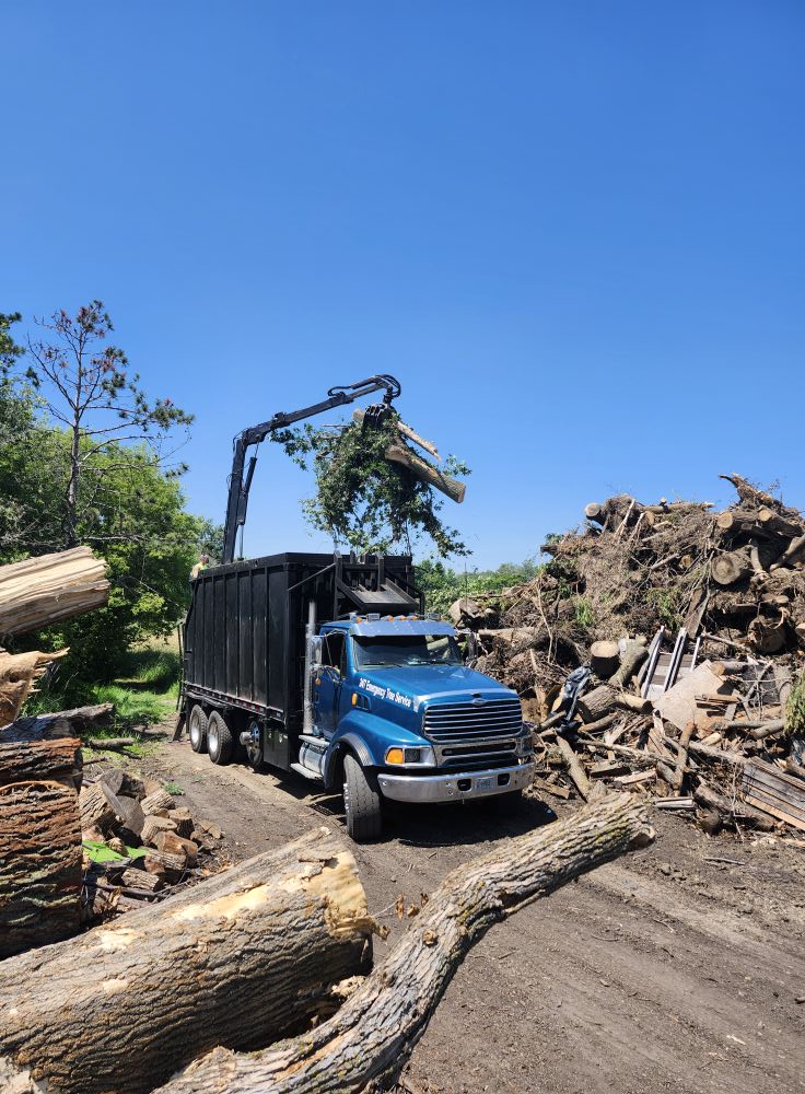 Grapple truck loading tree debris