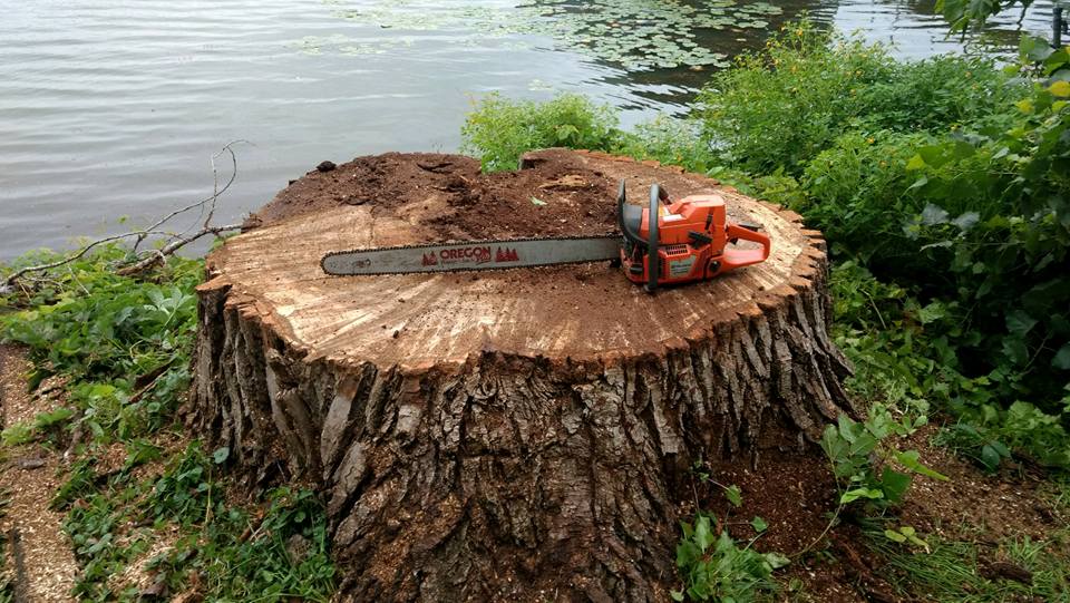 Skid steer regrading a backyard